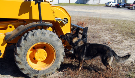 construction-site-drug-search